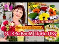 ЯНТАРНАЯ ВОЛНА СМОТРИМ НОВИНОЧКИ ВСЕХ С ДНЕМ ЗНАНИЙ 1 СЕНТЯБРЯ