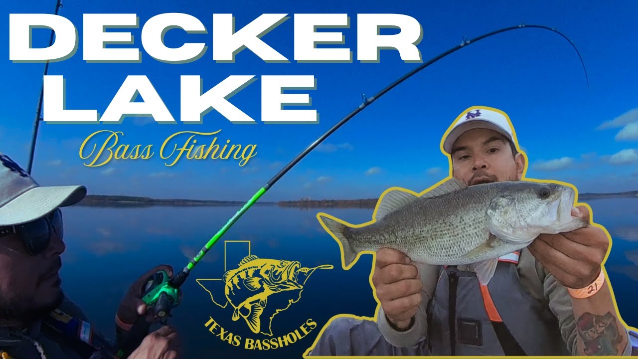 How's the BASS FISHING on Decker Lake in Texas? @FishTejas #bassfishing #fishing #outdoors