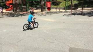 2016 0628 DexterBike