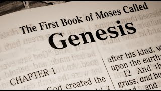 Genesis Chapter One Bible Study