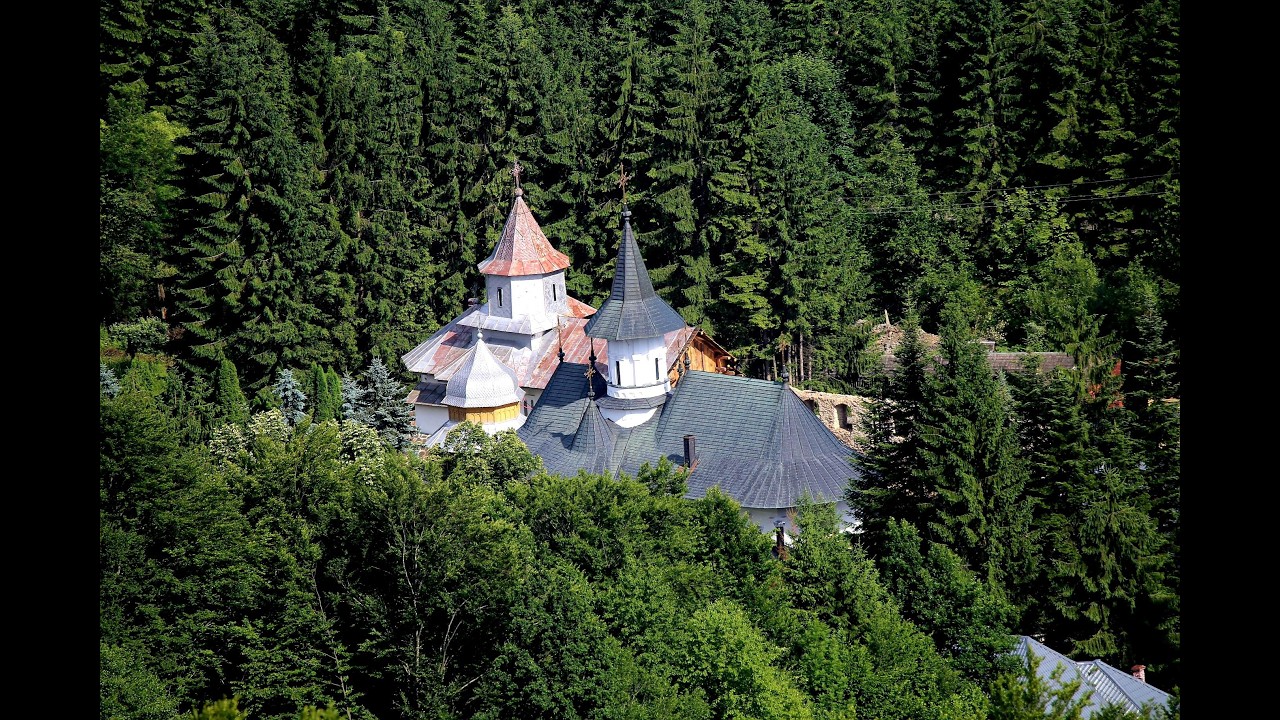 ⭕Live: Pavecernița Mare