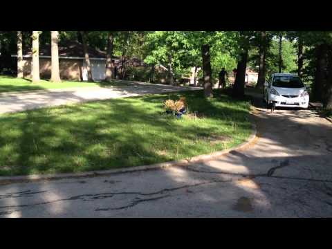 Mowing the Lawn Time Lapse Stylee