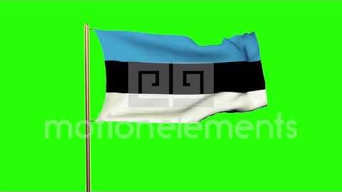 Estonia Flag Waving In The Wind. Looping Sun Rises Style. Animation Loop. Green Stock Animation