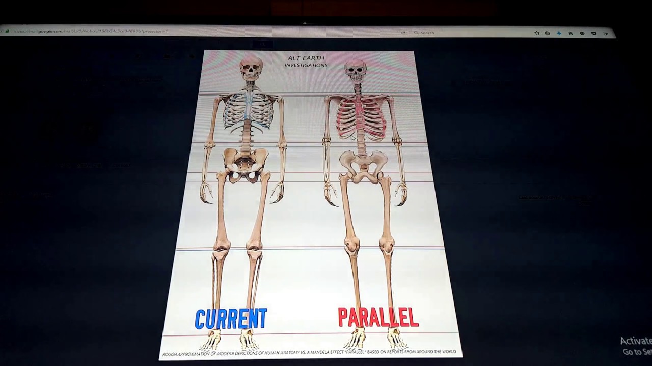 PROOF of Human ANATOMY CHANGES!!! Mandela Effect - YouTube