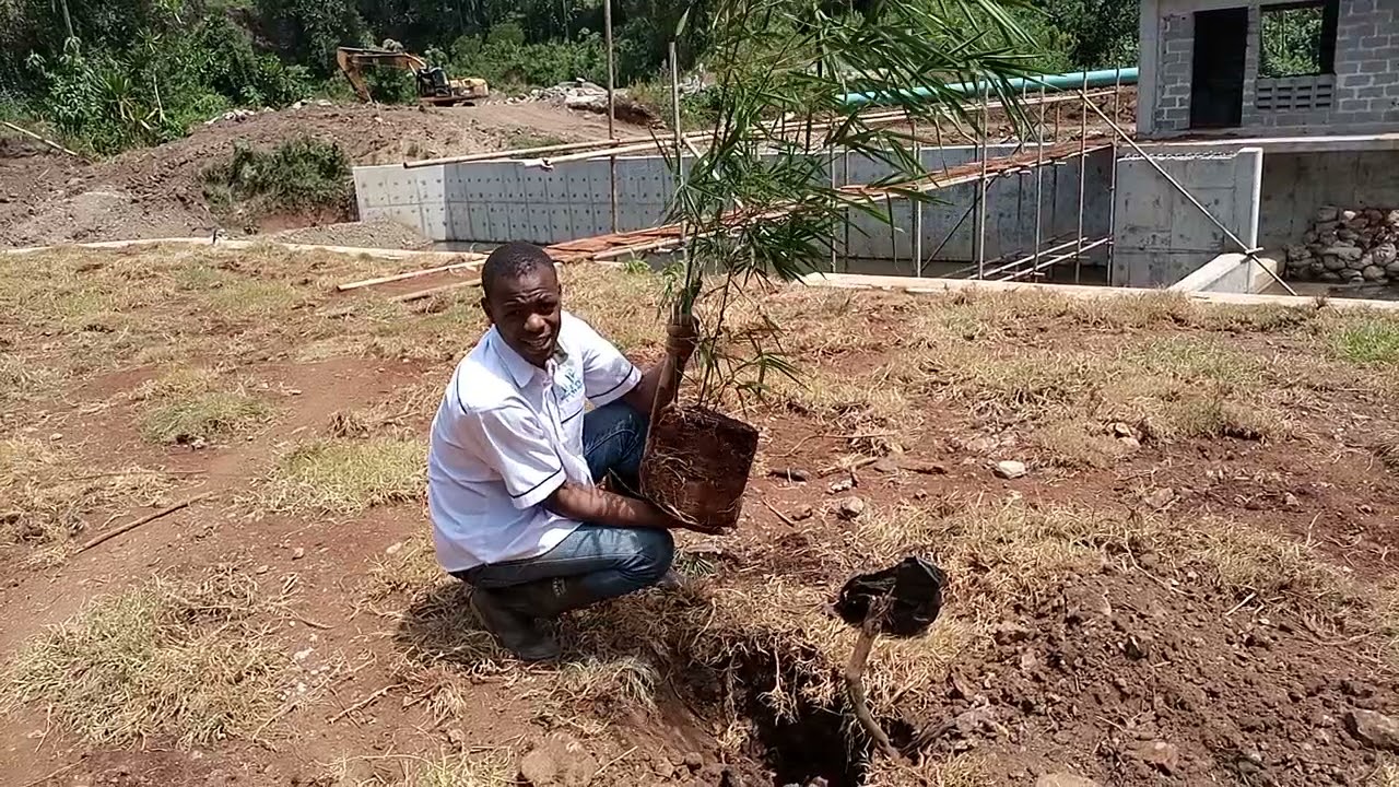 Sustainable Development Goals in Kenya 