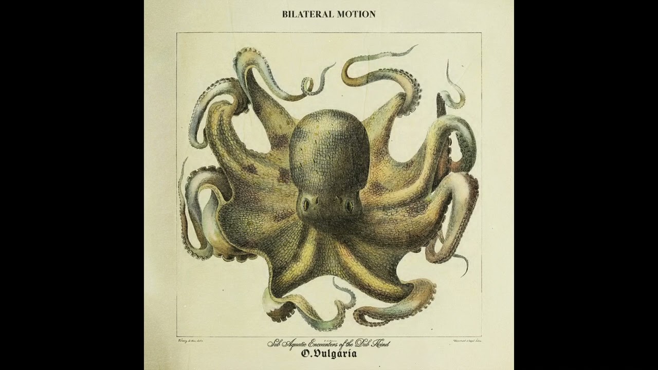 Bilateral Motion - Eight Limbs and Three Hearts (Stillhead Remix)