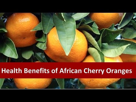 Video: Āfrikas ķiršu Apelsīns