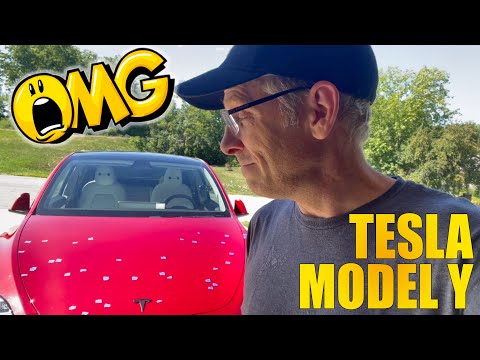 Paint Chip Repair Cost Tesla
