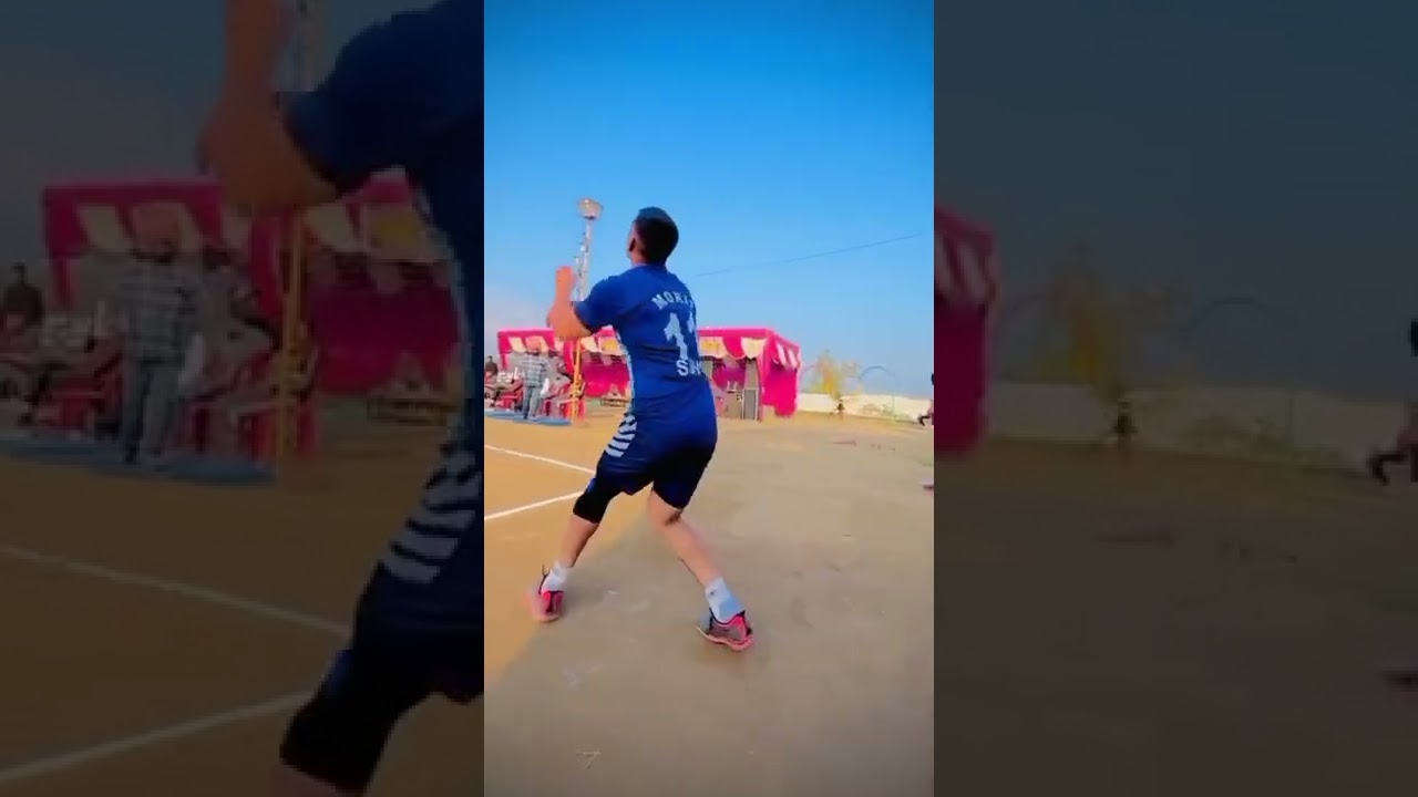 Volleyball Fans Video Download