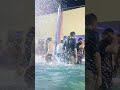 Pool Masti Ka Ultimate End! 🔥 #RajpootFarm #PoolVlog #trending #sozowaterpark #shortsfeed #swimming