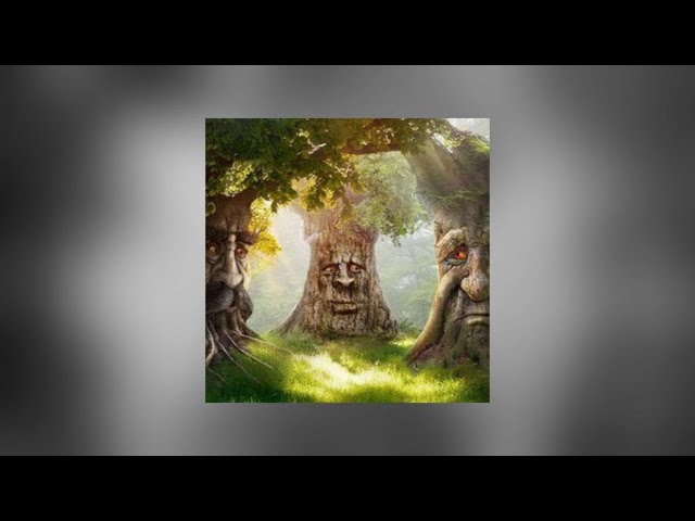 Wise Mystical Tree (music) 