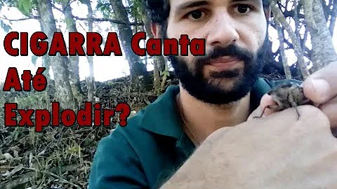 O que fazer quando entra mosquito no ouvido?