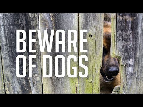 pastor-mike-wells:-beware-of-dogs