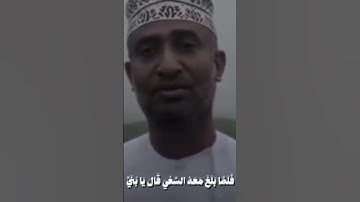 وقال إني ذاهب إلى ربي سيهدين.             القارئ توفيق الطائع