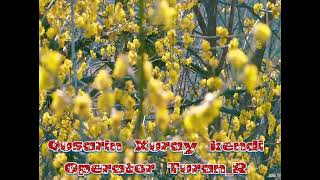 Qusar Xuray Kendi Yaz Menzeresi