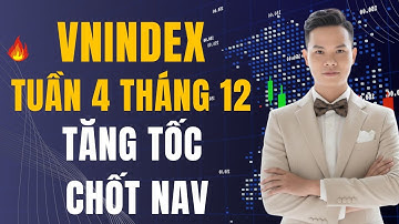 Chú Ý: Thị Trường Chuyển Pha: VN-Index Tăng Tốc, Dòng Tiền Đang Chảy Về Đâu?