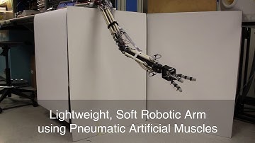 Lightweight, Soft Robotic Arm using Pneumatic Artificial Muscles