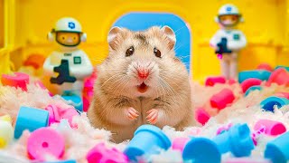 Revealing the Dramatic Escape Secrets of a Hamster 🐹 DIY Hamster Maze