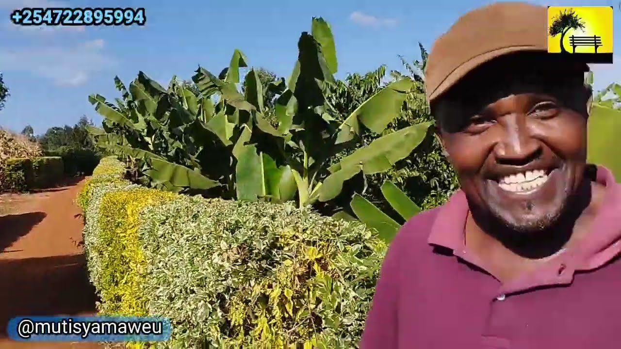 I visited a farmer at Kinyui Kangundo I didn't expect this!! 🔥🔥🔥