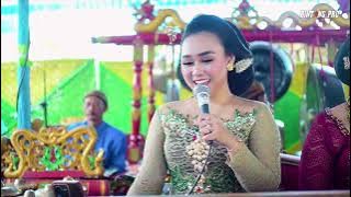 KAPILUT - NINGAL KATRESNAN cokek NGESTI IROMO gong gentong