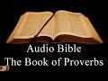 The Book of Proverbs - NIV Audio Holy Bible - High Quality and Best Speed - Book 20