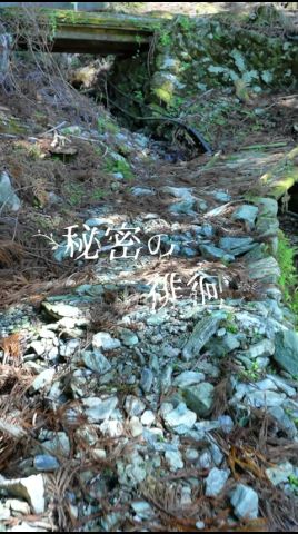 祕境の神社