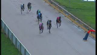 GEL TUE 18 JUN 19 R4