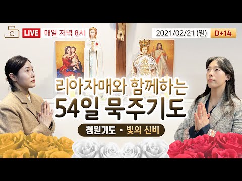 영상썸네일