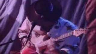 Stevie Ray Vaughan Don't mess with Texas Profile