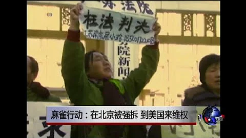 時事大家談：麻雀行動：在中國被強拆，到美國來維權 - 天天要聞
