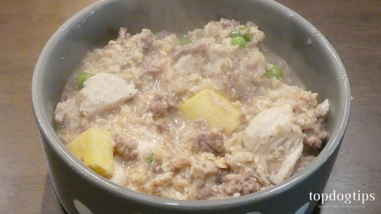 Recipe Chicken and Beef Stew Surprise for Dogs YouTube