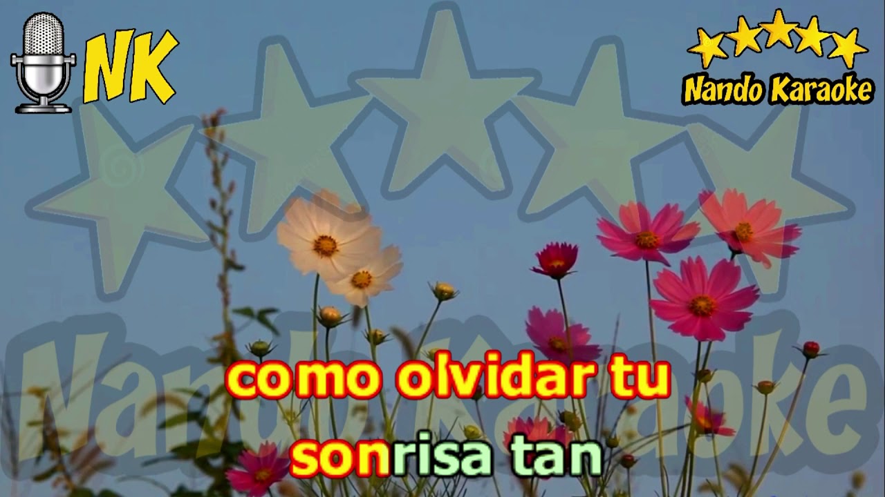 UN AMOR DEL AYER - Paul Martín Karaoke