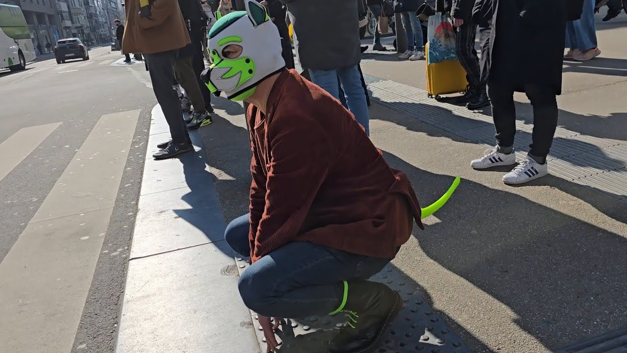 Puppy walking among the crowd