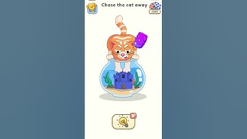 Dop 5 Level 17 || Chase away the cat 🐈#shortsfeed #trending #viral