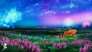 Healing music for peace of mind ♡ Relaxing music, Stress relief music, Meditation music