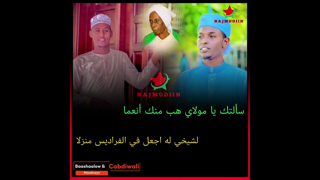 سلام من اللّه المهيمن دائما || على نجم دين اللّه عثمان من علا