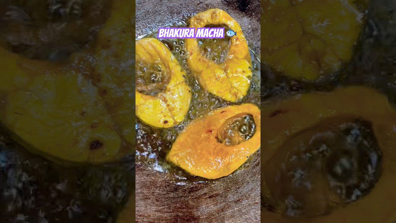 Bhakura machha 