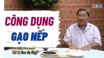 CÔNG DỤNG CỦA GẠO NẾP VỚI SỨC KHOẺ | NESFACO