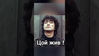 И. Тальков _ Памяти Виктора Цоя. подборка фото .