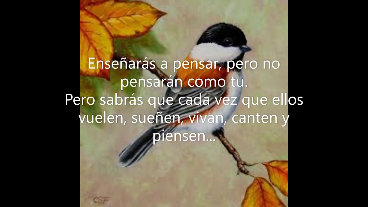 Poema para los maestros y padres "Enseñarás A Volar" . #
