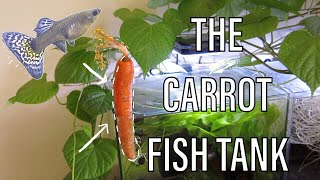 The Carrot Fish Tank (Yes, It Grew) | One Week Progress 🥕