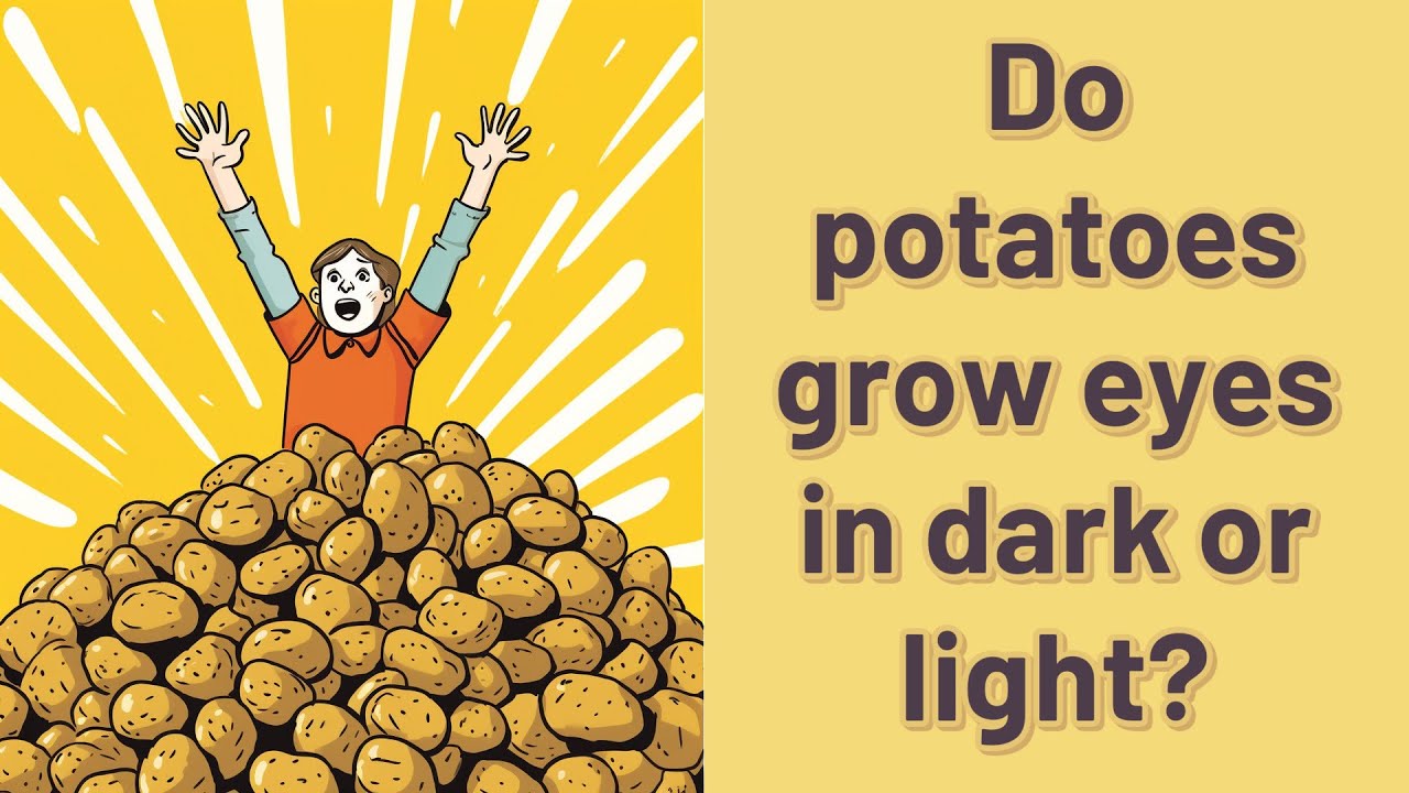 Do potatoes grow eyes in dark or light? YouTube
