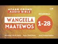 Wangeela Maatewos   | Afaan Oromo Audio Bible | Afaan Oromoo Macaafa Qulqulluu Sagaleedhan