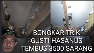 TRIK INI BERHASIL MENDAPATKAN 3500 SARANG WALET