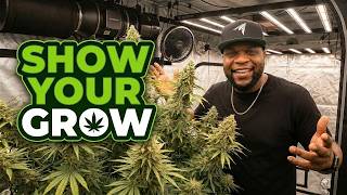 Show Your Grow On Camera  - Sunday Show EP18