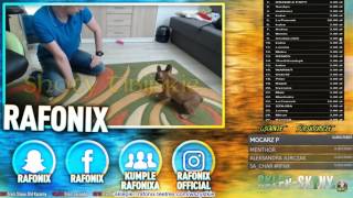 Rafonix tresuje psa na live! screenshot 3