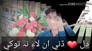 Deedar Ali Buriro