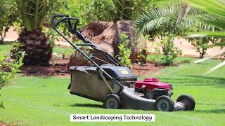 Celebrity Elowsky Lawn -  Landscaping Trends to Elevate Your Home s Curb Appeal Net Worth
