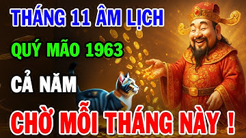 Tử Vi Tháng 11 Âm Lịch 2025 Tuổi Quý Mão 1963 | Thời Vận Mở Lối, Thành Công Viên Mãn