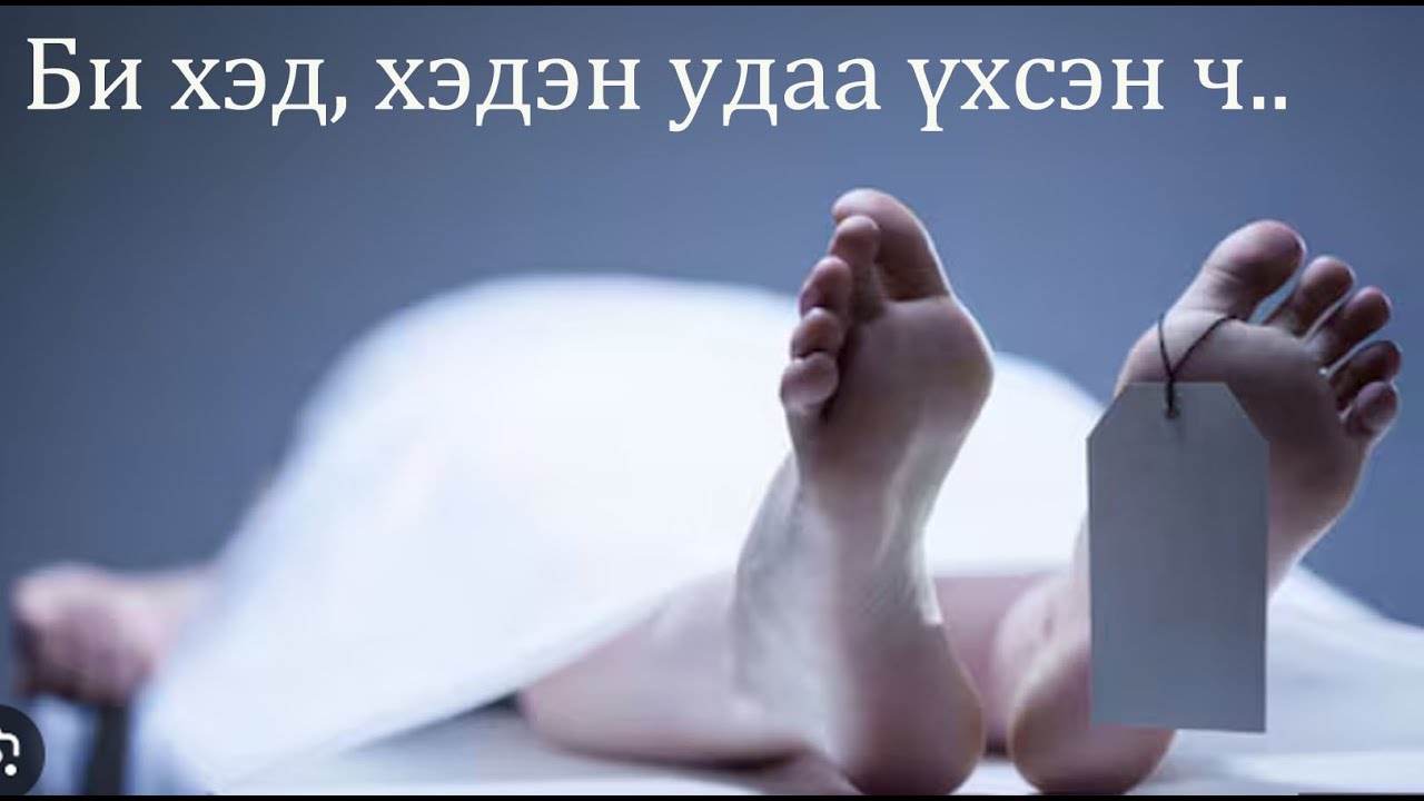 №77-3 》Пауло: Үхэл төгсгөл биш шүү дээ/Болсон явдал/